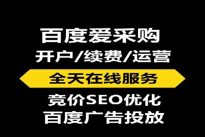 百度SEO推广策略全解析：某企业从零到一的成长历程